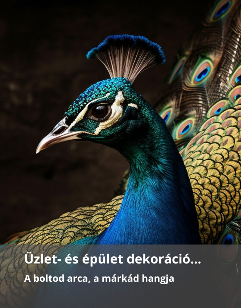 Üzlet-épület-dekoráció-nyomda-Magic-Print